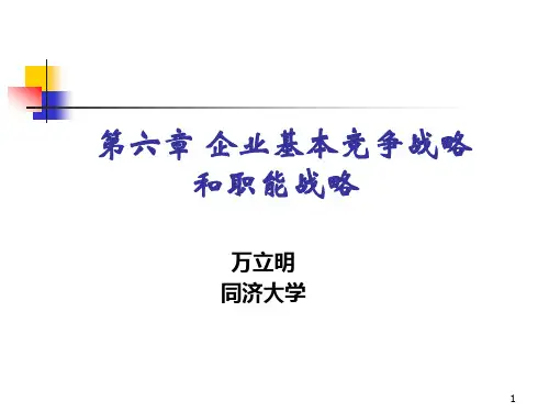 第六章企业基本竞争战略和职能战略