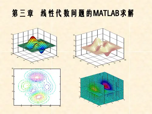 矩阵的应用-线性代数的MATLAB求解