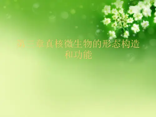第三章真核微生物的形态构造和功能优秀课件
