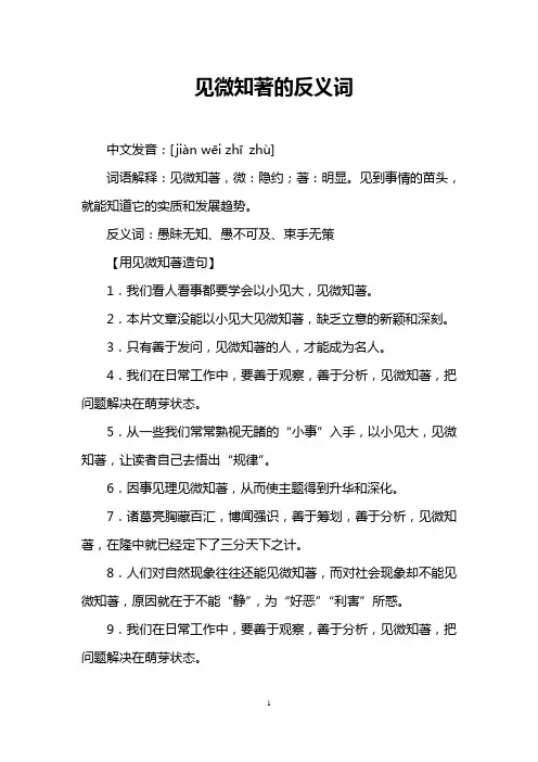 见微知著的反义词