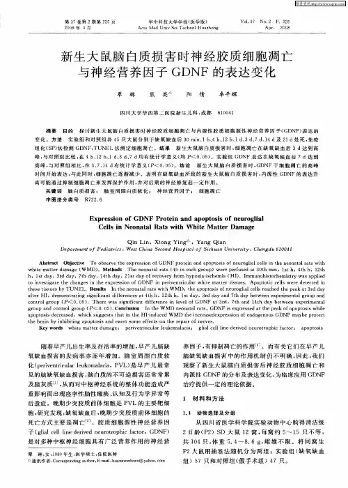 新生大鼠脑白质损害时神经胶质细胞凋亡与神经营养因子GDNF的表达变化