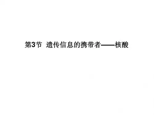 人教版教学课件11-12学年高一生物必修1(新人教版)同步课件：23 遗传信息的携带者——核酸
