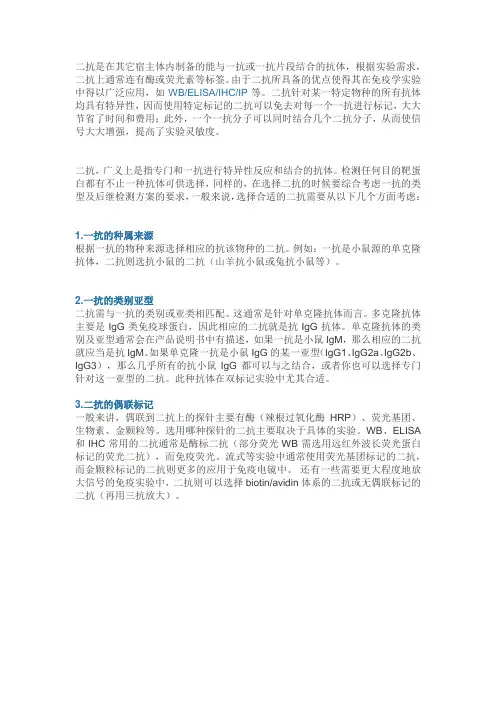 二抗的选择