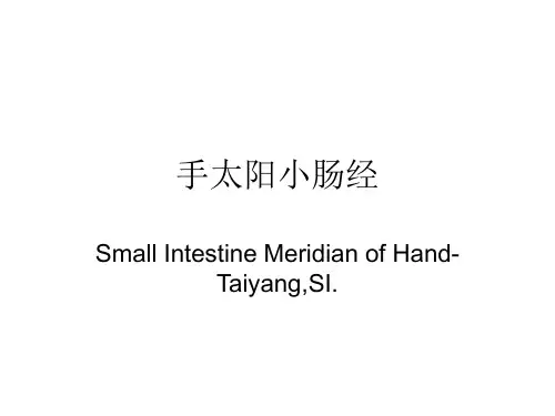 手太阳小肠经