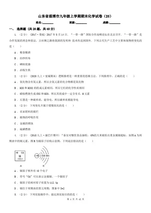 山东省淄博市九年级上学期期末化学试卷(20)