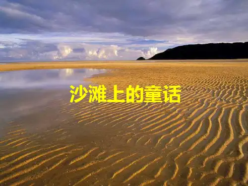 (人教部编版教材)沙滩上的童话精美版1