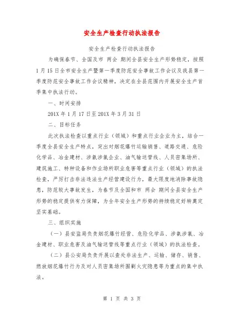 安全生产检查行动执法报告【可编辑版】