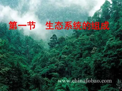 第一节生态系统的组成