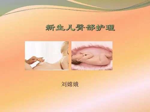 新生儿臀部护理刘嫦娥教学提纲