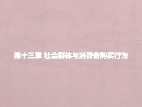 消费者行为学(第三版)课件m第十三章 社会群体与消费者购买行为