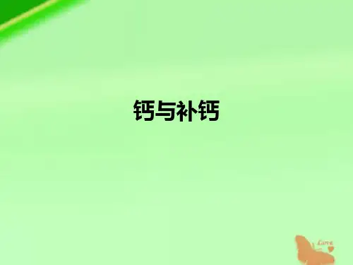 钙与补钙精品PPT课件
