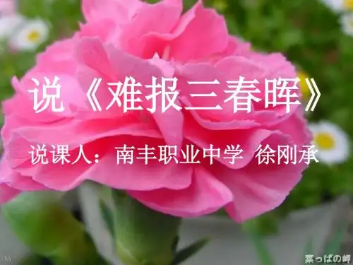 难报三春晖说课课件
