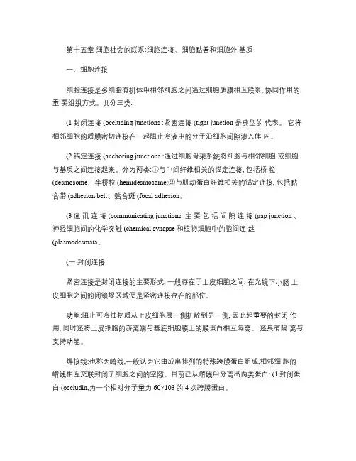 细胞生物学[第十五章  细胞社会的联系：细胞连接、细胞黏着和.