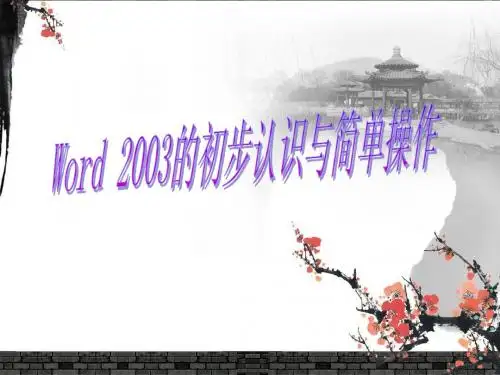 word2003的认识及基本操作