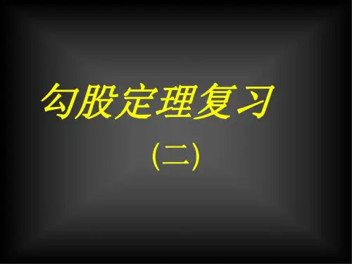期末复习勾股定理2