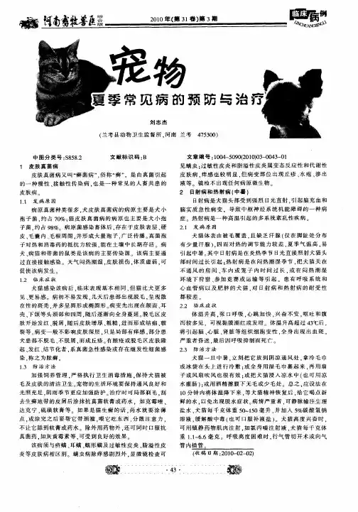 宠物夏季常见病的预防与治疗