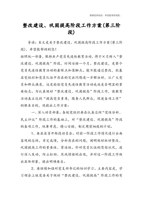 整改建设、巩固提高阶段工作方案(第三阶段)