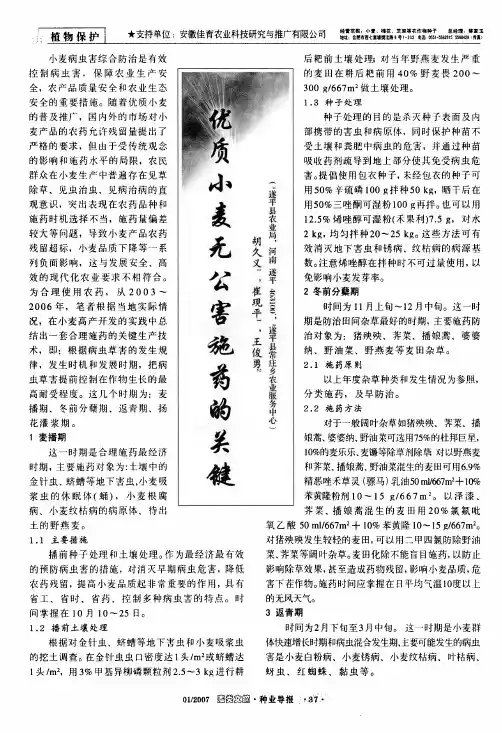优质小麦无公害施药的关键