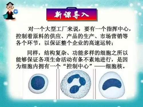 人教版高中生物必修一__3.3细胞核