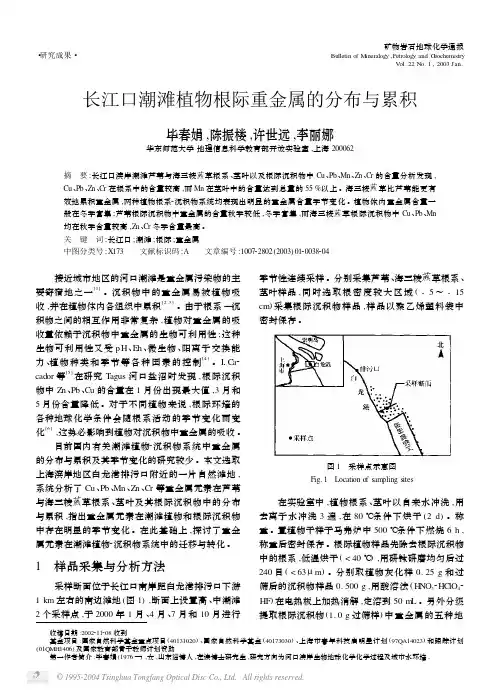 长江口潮滩植物根际重金属的分布与累积