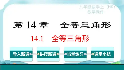 沪科版八上数学 全等三角形