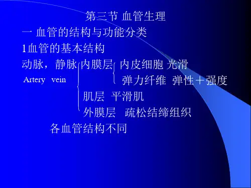 循环系统血管生理