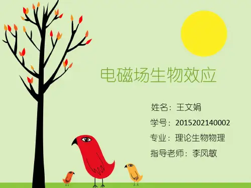 电磁场生物效应