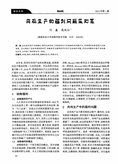 肉鸡生产的福利问题及对策