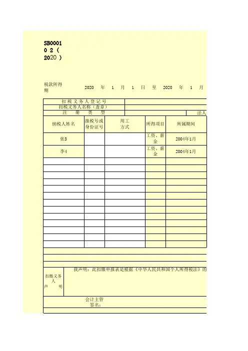 扣缴个人所得税明细报告表 2