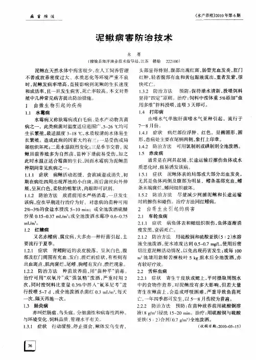泥鳅病害防治技术