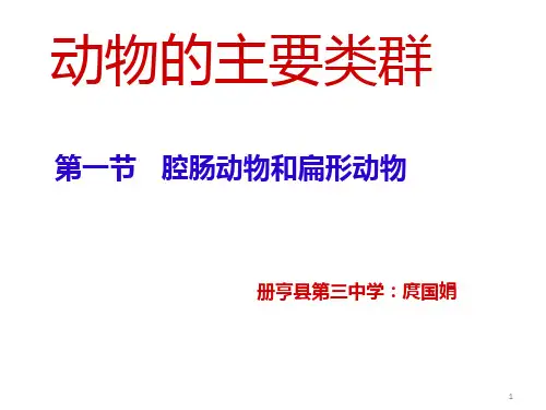 动物的主要类群(1)