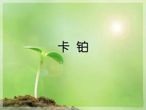 卡铂