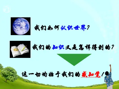 心理学课件：3 第三章 感知觉