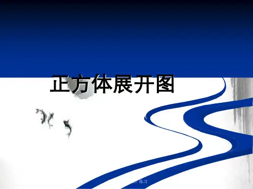 《正方体展开图》练习