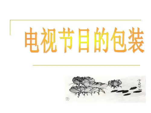 电视节目的包装