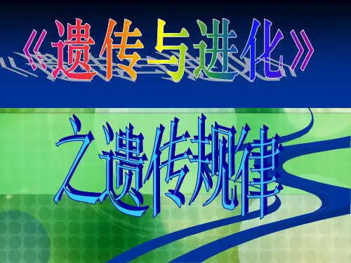 遗传与进化复习课件(自交与随机交配区别)