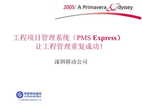 中国移动公司工程项目管理系统(PMSExpress)(PDF19)