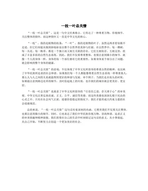 一枝一叶总关情 3