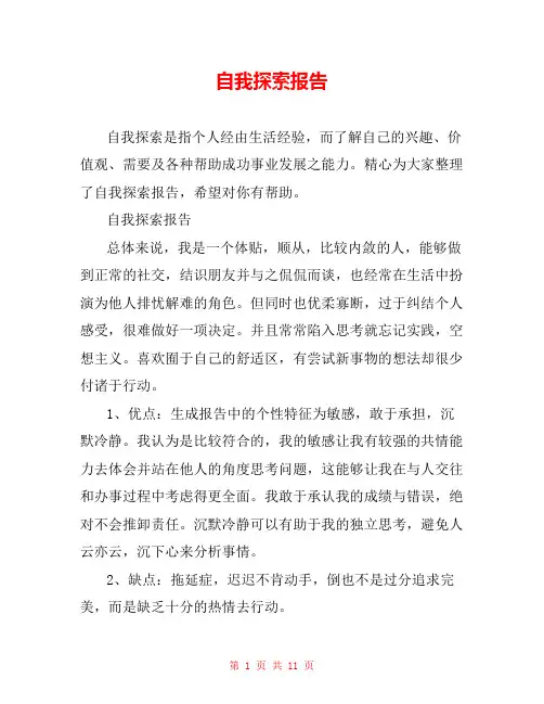自我探索报告