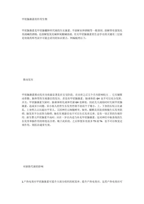 甲状腺激素的作用生物