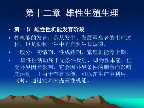 第十二章  雄性生殖生理