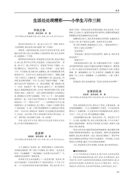 皮皮虾