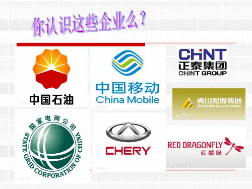 维护社会主义基本经济制度-