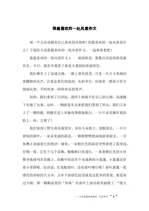 我最喜欢的一处风景作文