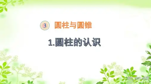 六年级数学下册课件-3.1.1  圆柱的认识(11)-人教版