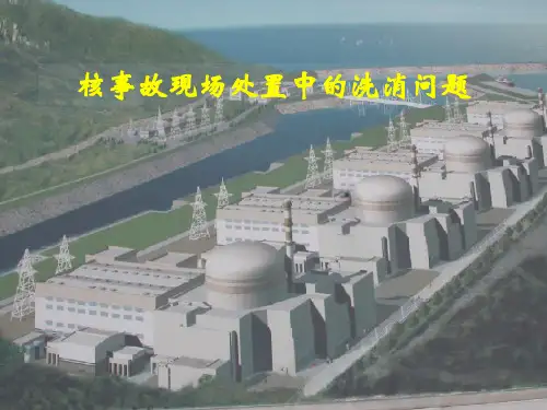 核事故现场处置中的洗消问题 共56页