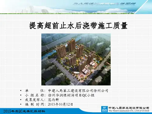 提高超前止水后浇带施工质量概论PPT(共 33张)