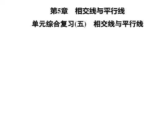 秋七年级数学华东师大版上册课件：第5章  单元综合复习(五) 相交线与平行线 (共14张PPT)
