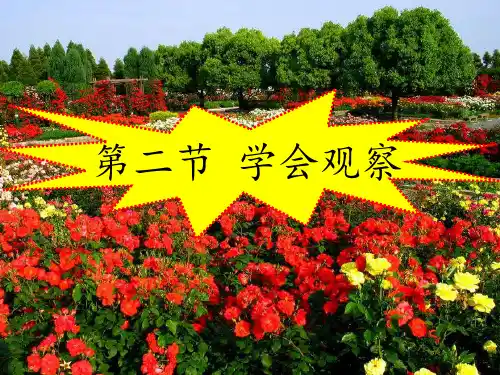 生物七年级上册第一单元第一章第二节 学会观察 课件(36张ppt)