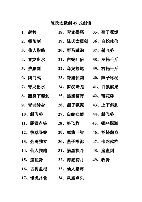 陈氏太极剑49式剑谱 2
